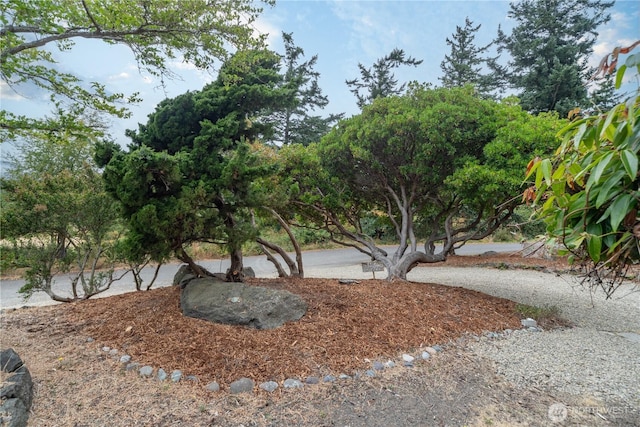 909 L St, Port Townsend, WA 98368 - photo 34