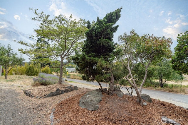 909 L St, Port Townsend, WA 98368 - photo 35
