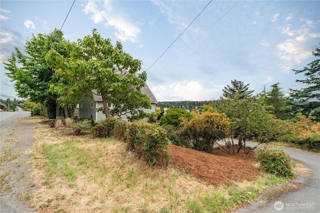 909 L St, Port Townsend, WA 98368 - photo 37