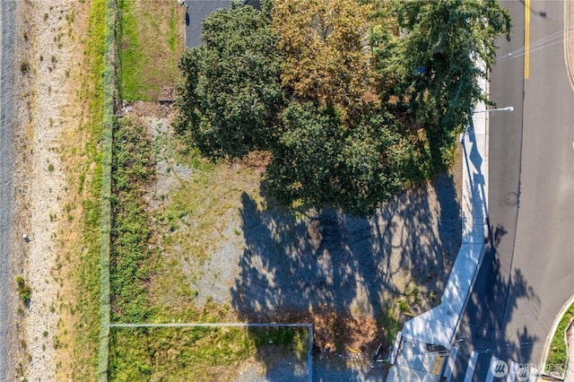 14401 Union Ave SW, Lakewood, WA 98498 - photo 1