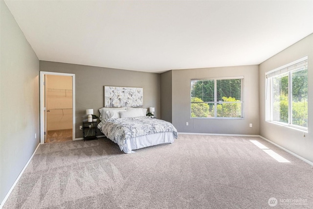 4754 Mount Baker Loop, Mount Vernon, WA 98273 - photo 11