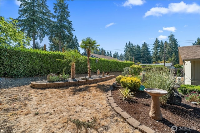 9423 104th St SW, Lakewood, WA 98498 - photo 26