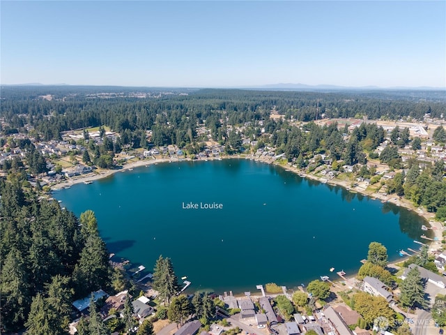 9423 104th St SW, Lakewood, WA 98498 - photo 37