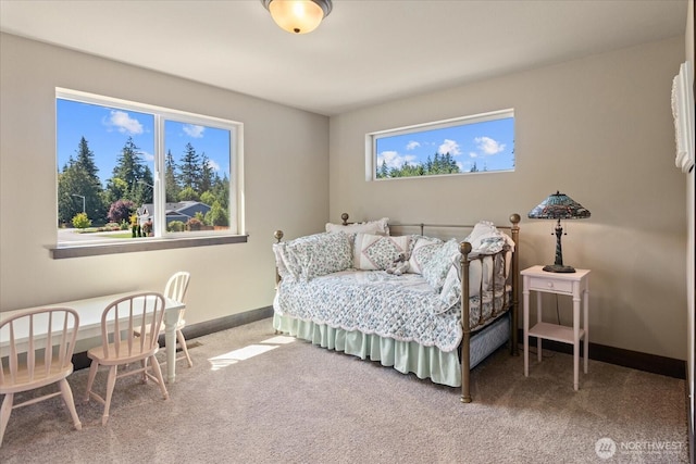 16513 60th Dr NW, Stanwood, WA 98292 - photo 25