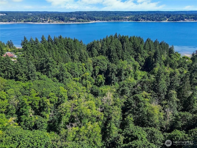 8724 Danforth St NW, Gig Harbor, WA 98329 - photo 37