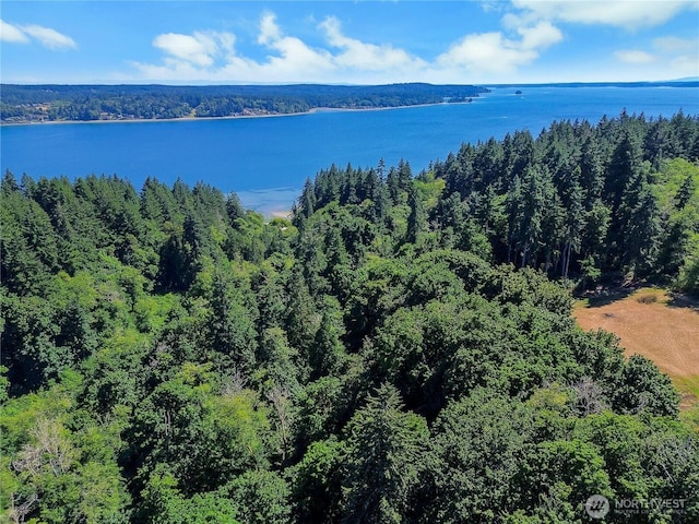 8724 Danforth St NW, Gig Harbor, WA 98329 - photo 38