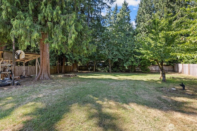 21822 99th Ave SE, Snohomish, WA 98296 - photo 25