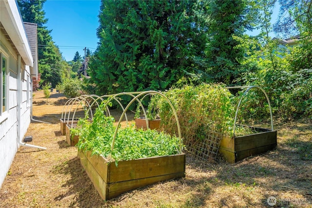 12027 10th Ave S, Seattle, WA 98168 - photo 22