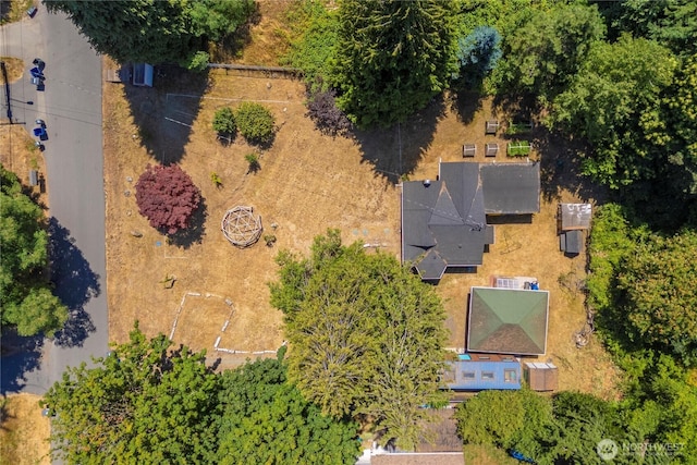 12027 10th Ave S, Seattle, WA 98168 - photo 33