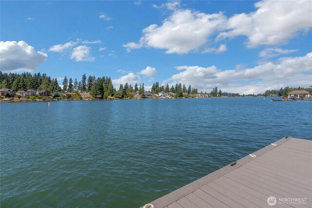 7210 E Vandermark, Bonney Lake, WA 98391 - photo 34