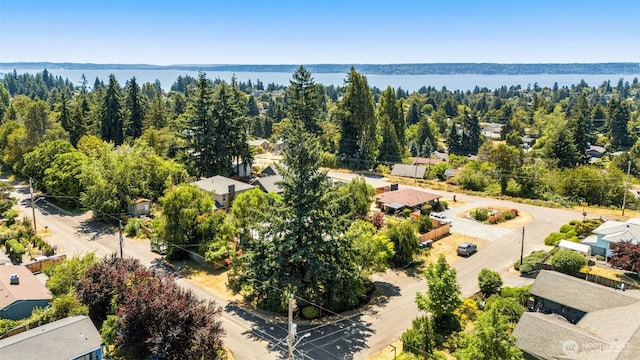 2103 SW 110th St, Seattle, WA 98146 - photo 33