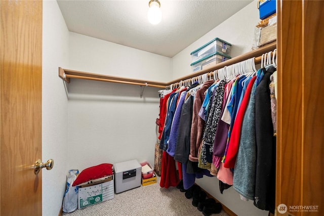 5706 58th Ct SE, Lacey, WA 98513 - photo 15