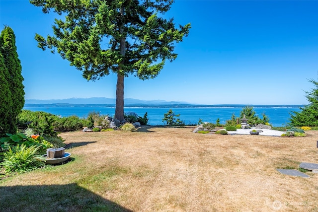 4640 Rhodie Ln, Freeland, WA 98249 - photo 5