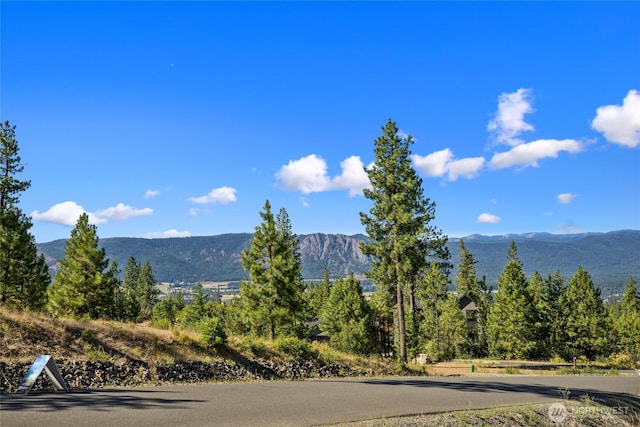 18 Forest Ridge Dr, Cle Elum, WA 98922 - photo 2