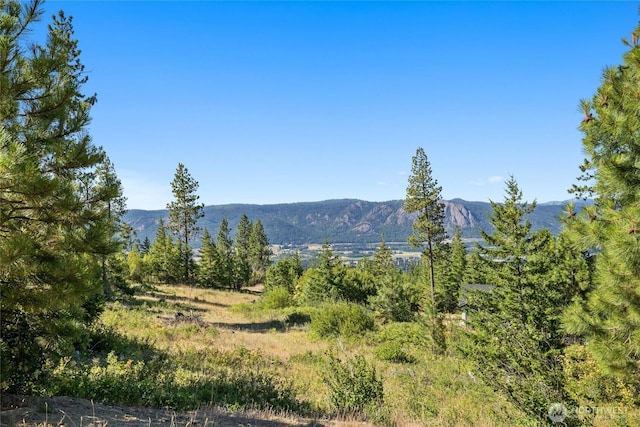 18 Forest Ridge Dr, Cle Elum, WA 98922 - photo 4