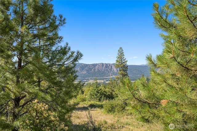 18 Forest Ridge Dr, Cle Elum, WA 98922 - photo 5