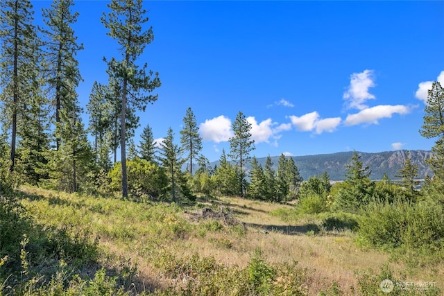 18 Forest Ridge Dr, Cle Elum, WA 98922 - photo 6