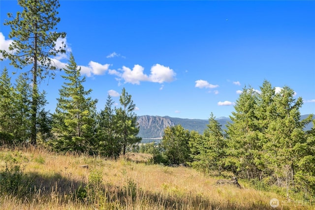 18 Forest Ridge Dr, Cle Elum, WA 98922 - photo 1