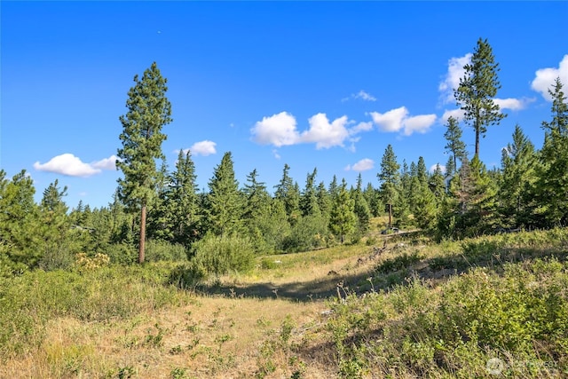 18 Forest Ridge Dr, Cle Elum, WA 98922 - photo 14