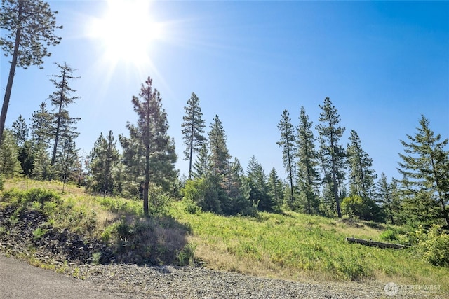 18 Forest Ridge Dr, Cle Elum, WA 98922 - photo 13