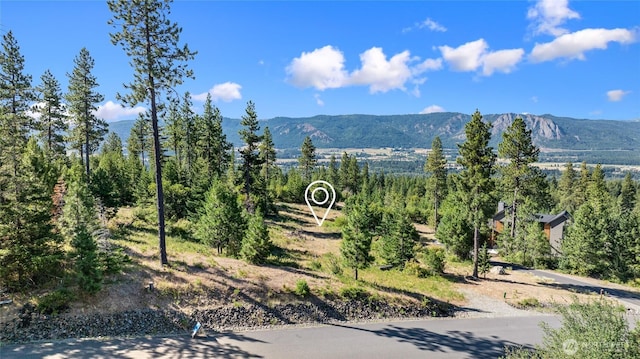 18 Forest Ridge Dr, Cle Elum, WA 98922 - photo 9