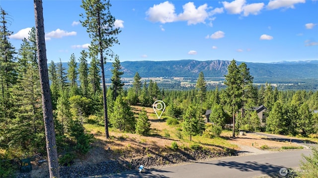18 Forest Ridge Dr, Cle Elum, WA 98922 - photo 10