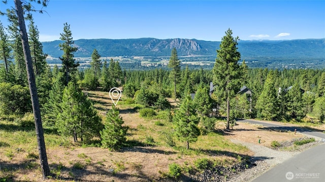 18 Forest Ridge Dr, Cle Elum, WA 98922 - photo 8