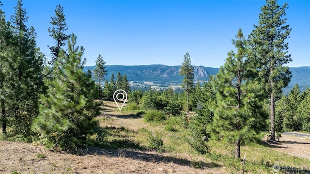 18 Forest Ridge Dr, Cle Elum, WA 98922 - photo 7