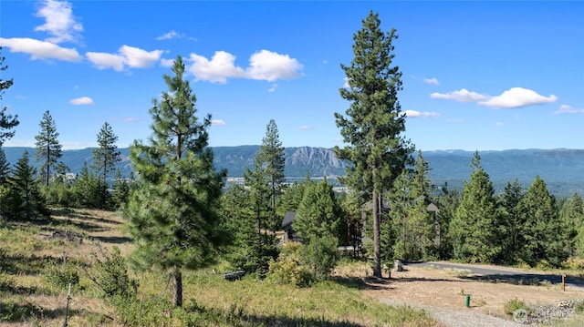 18 Forest Ridge Dr, Cle Elum, WA 98922 - photo 11