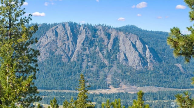18 Forest Ridge Dr, Cle Elum, WA 98922 - photo 12