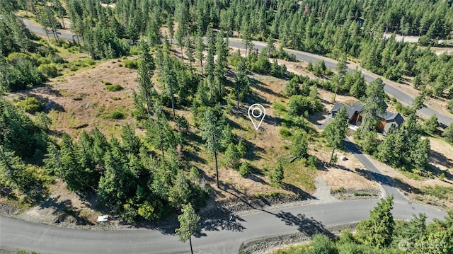 18 Forest Ridge Dr, Cle Elum, WA 98922 - photo 15