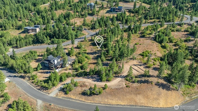 18 Forest Ridge Dr, Cle Elum, WA 98922 - photo 23