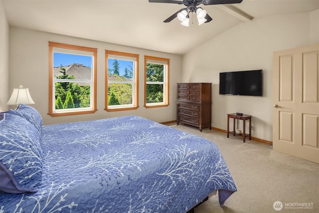 20322 10th Ave W, Lynnwood, WA 98036 - photo 20