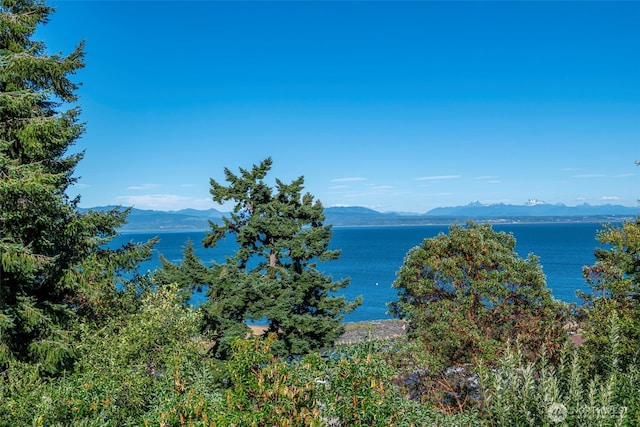 2176 Aurora Ct, Oak Harbor, WA 98277 - photo 36