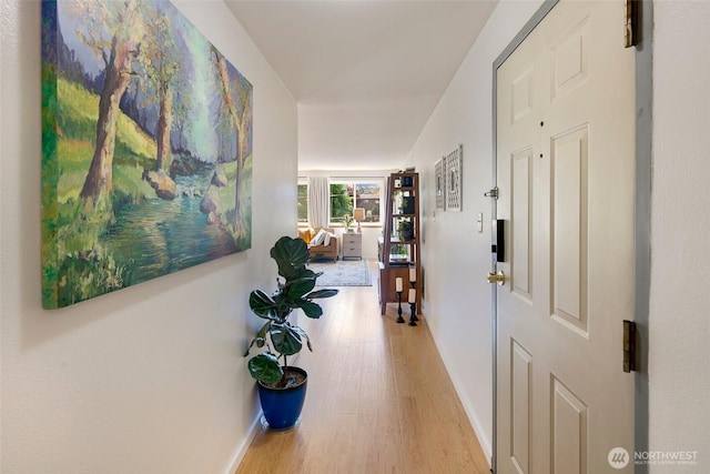734 N 94th St Unit 4, Seattle, WA 98103 - photo 5