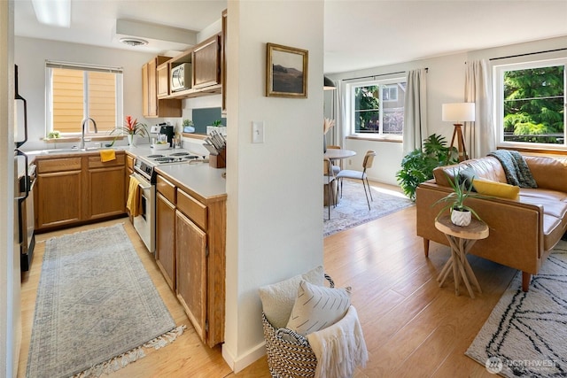 734 N 94th St Unit 4, Seattle, WA 98103 - photo 9