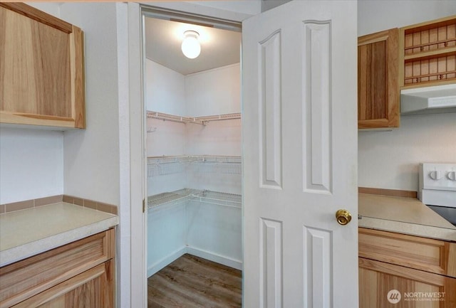 31600 126th Ave SE Unit E1, Auburn, WA 98092 - photo 8