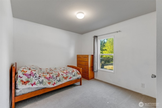30611 6th Avenue Ct S, Roy, WA 98580 - photo 18