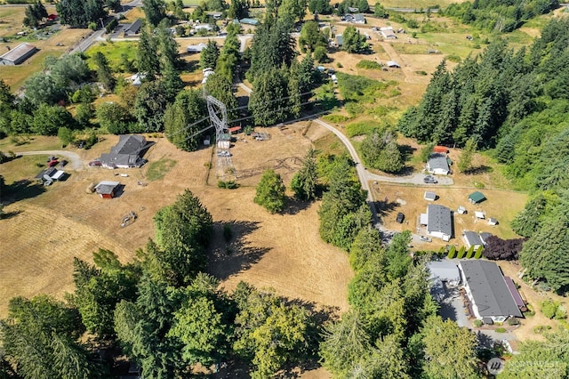 30611 6th Avenue Ct S, Roy, WA 98580 - photo 34