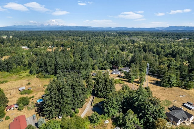 30611 6th Avenue Ct S, Roy, WA 98580 - photo 35