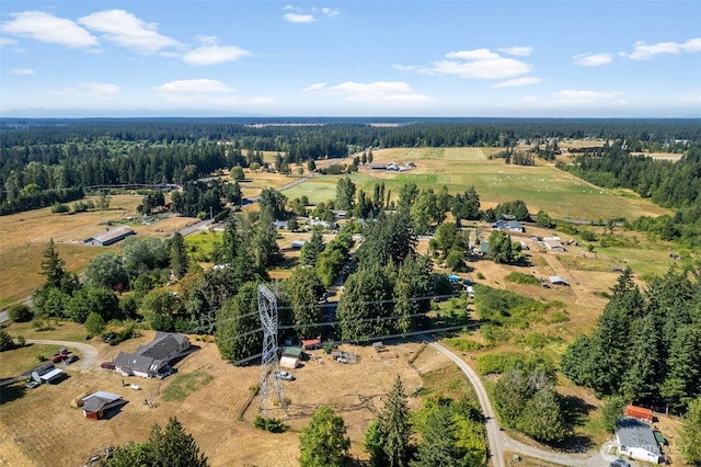 30611 6th Avenue Ct S, Roy, WA 98580 - photo 36