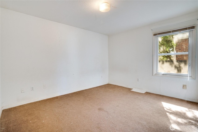 3120 S 17th St, Tacoma, WA 98405 - photo 13