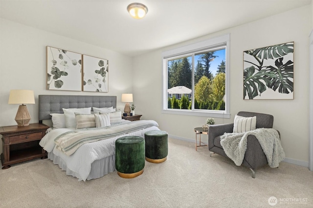 9657 242nd Way NE, Redmond, WA 98053 - photo 34