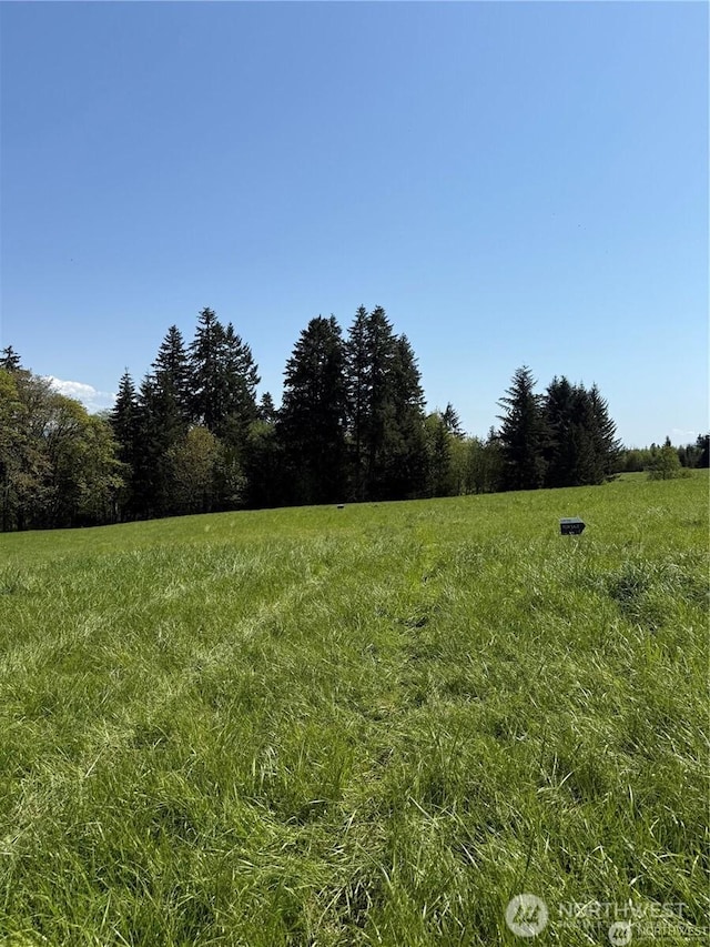 200LOTC Fineview, Chehalis, WA 98532 - photo 24