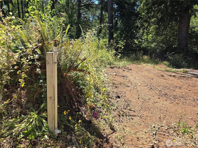 351 W Haven Dr, Matlock, WA 98541 - photo 4