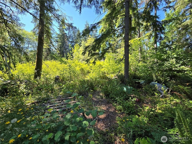351 W Haven Dr, Matlock, WA 98541 - photo 7