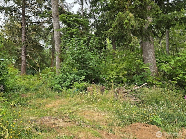351 W Haven Dr, Matlock, WA 98541 - photo 6