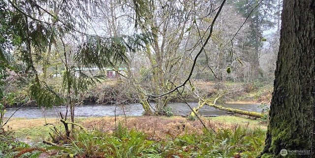 351 W Haven Dr, Matlock, WA 98541 - photo 2