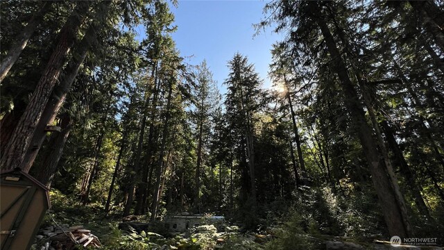 63388 E Ross Pl, Marblemount, WA 98267 - photo 16