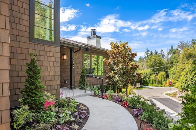 4869 Rosalind Rd NE, Bainbridge Island, WA 98110 - photo 3